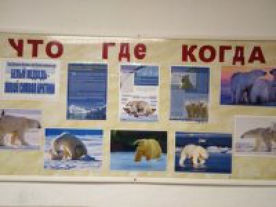 Акция «Белый медведь - живой символ Арктики»